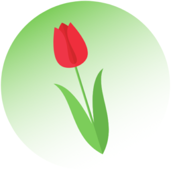 ŚAP - tulipan